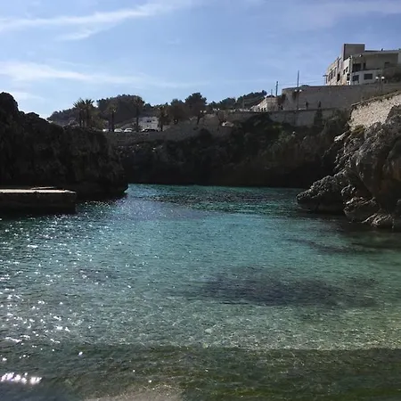 Corte Del Fico